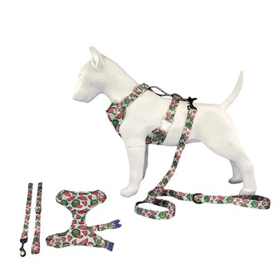 Simpatica pettorina morbida per cani