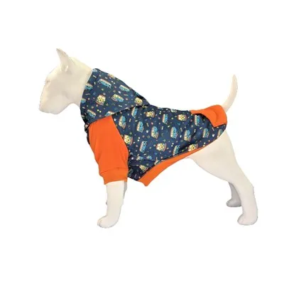 Abbigliamento per cani per l'inverno