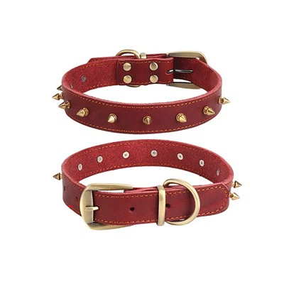 Collare per cani in pelle Spike